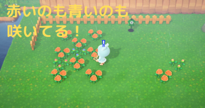 作り方 青い バラ あつ 森
